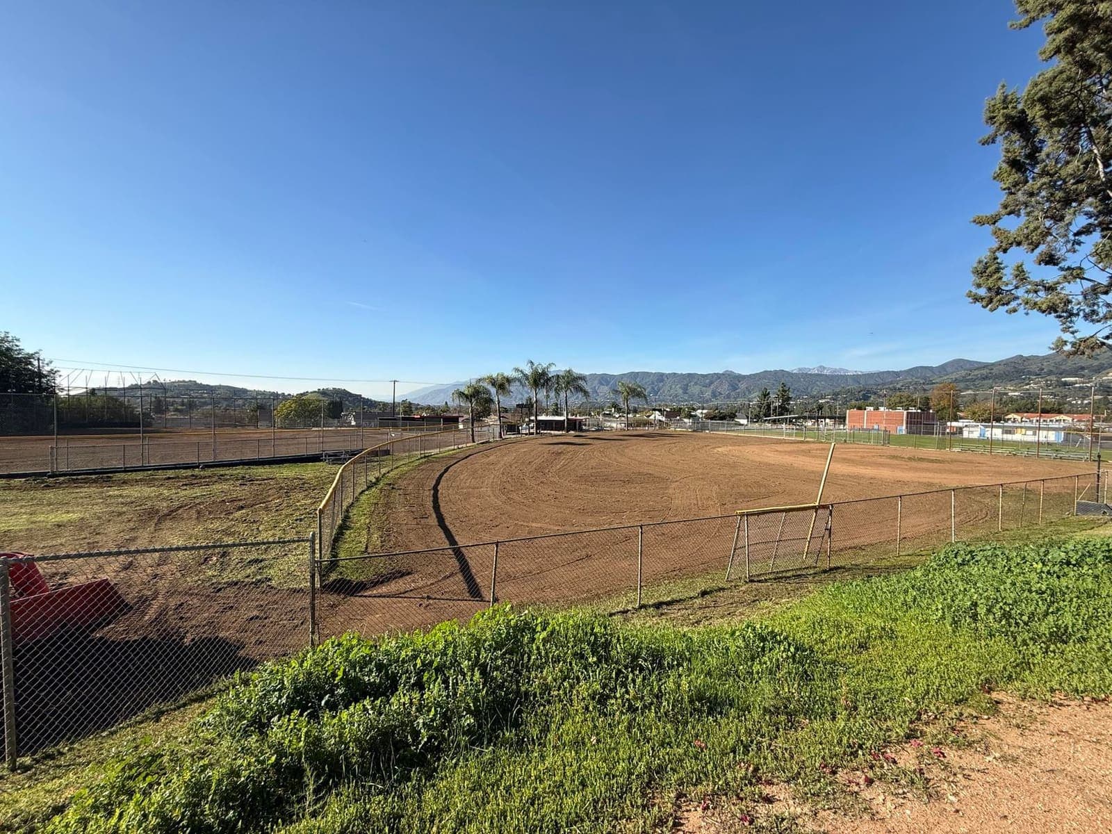 Restored Sutherland infield framed by palm trees and the San Gabriel mountains.